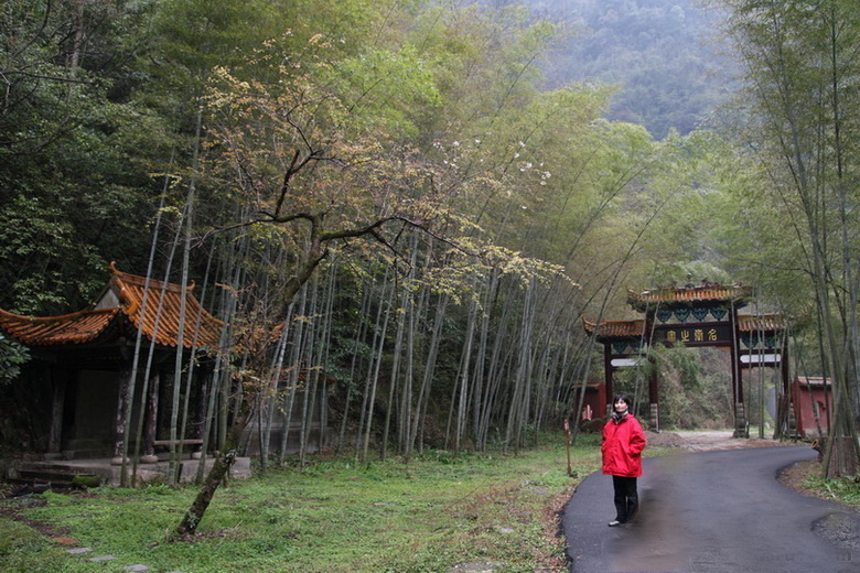 Img1338869_780.jpg