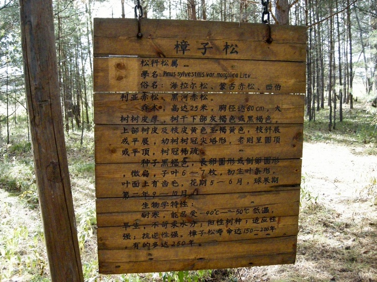 ���ɶ���-1321.jpg