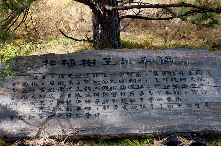 ���ɶ���-1324.jpg